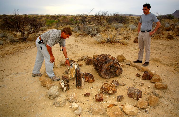 565 Namibia Okt 2006 .JPG
